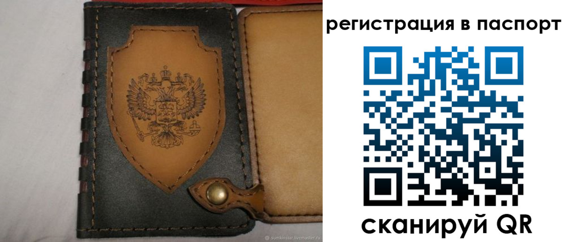 прописка поиск в Котово